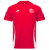 F95 Ausgehshirt Men 24-25 (1)