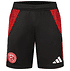 F95 Trackshorts Men 24-25 (1)