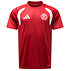 F95 Trainingsshirt Men 26-27 (1)