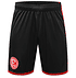 Fortuna Ausweichshorts 2026-27 (1)