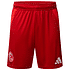 Fortuna Heimshorts 2024-25 (1)