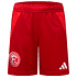 Fortuna Heimshorts 2024-25 Kinder (1)