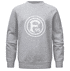 Fortuna Kinder Pullover “Logo” grau (1)