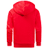 adidas Sweatjacke "Löwenzahnweg" Kids (5)