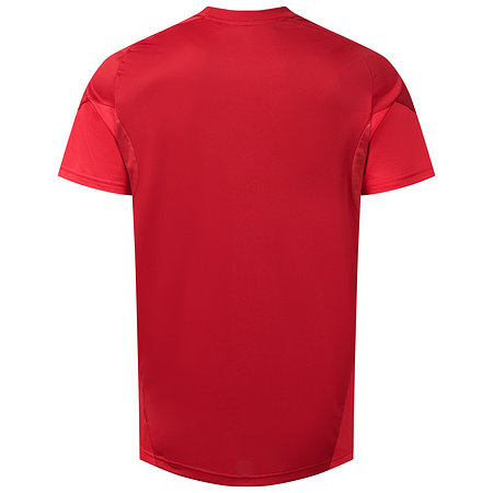 F95 Trainingsshirt Men 25-26
