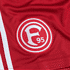 Nahaufnahme vom F95-Logo (2)