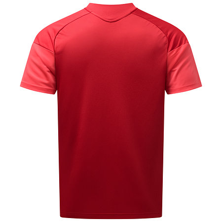 F95 Trainingsshirt Men 26-27