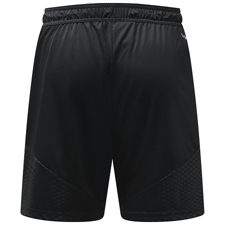 F95 Trainingsshort Men 26-27