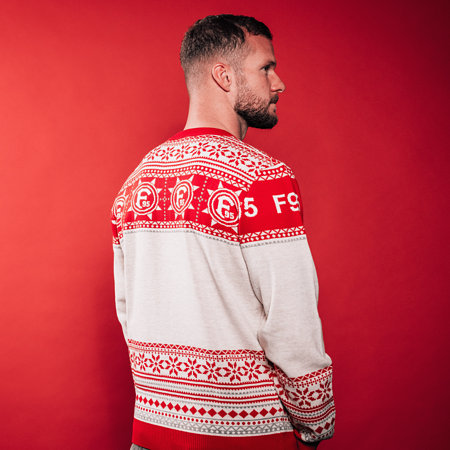 F95 Weihnachtspullover