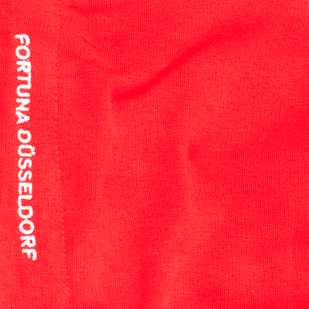 Fortuna Kinderhoodie "Thewissenweg"