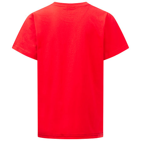 Fortuna Kindershirt "Thewissenweg"