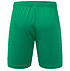 Fortuna Torwartshorts 2026-27 "Originals" (4)