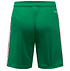 Fortuna Torwartshorts 2026-27 "Originals" Kinder (4)