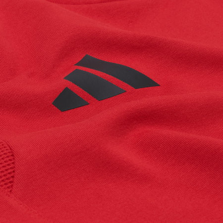 F95 Ausgehpullover "Rotdornweg" 26-27