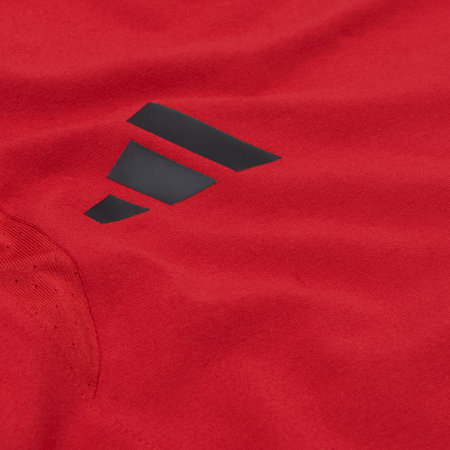 F95 Ausgehshirt "Rotdornweg" 26-27