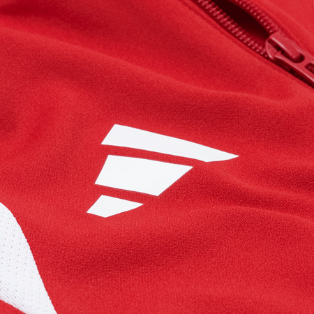 F95 Trainingsjacke Kids 26-27