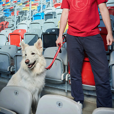 Fortuna Führleine "Logo"