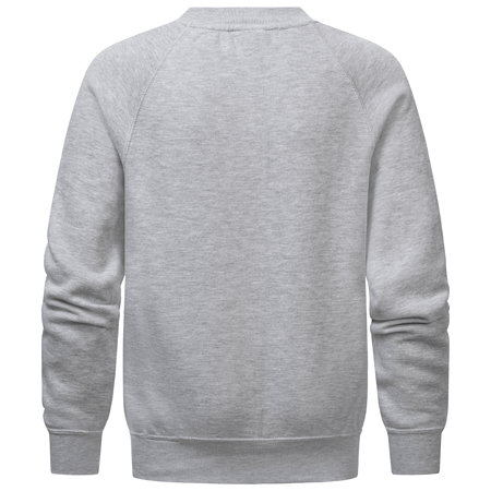 Fortuna Kinder Pullover “Logo” grau