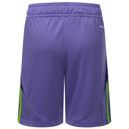 Fortuna Torwartshorts 2024-25 Kinder