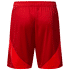 Fortuna Heimshorts 2024-25 (3)