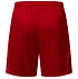 Fortuna Heimshorts 2025-26 (3)