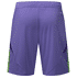 Fortuna Torwartshorts 2024-25 (3)