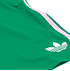Fortuna Torwartshorts 2026-27 "Originals" (3)