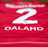 Matchworn Pokal-Heimtrikot 25/26 Daland (3)