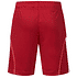 Rückansicht der Shorts (3)